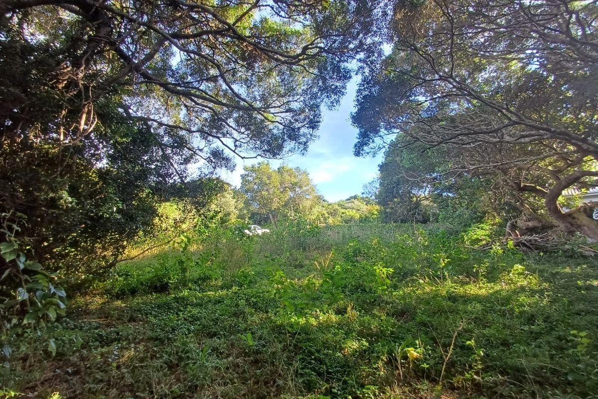 Prime Vacant Land for Sale in Cintsa East - Ready to Build! - Photo 5