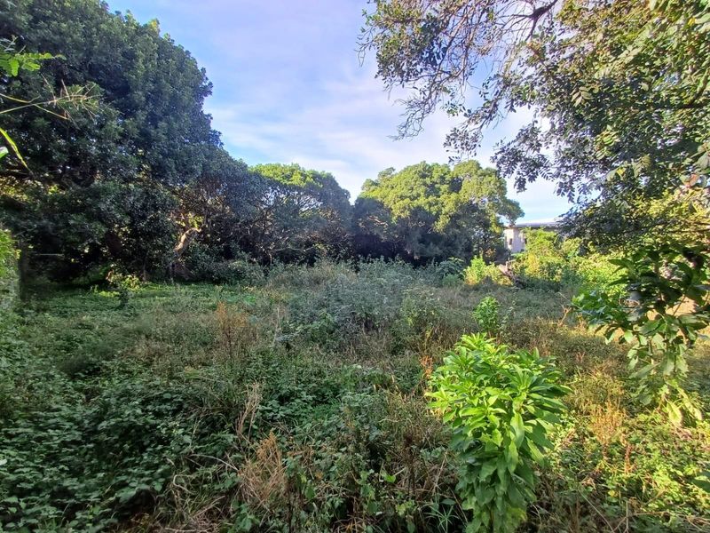 Prime Vacant Land for Sale in Cintsa East - Ready to Build! - Photo 3