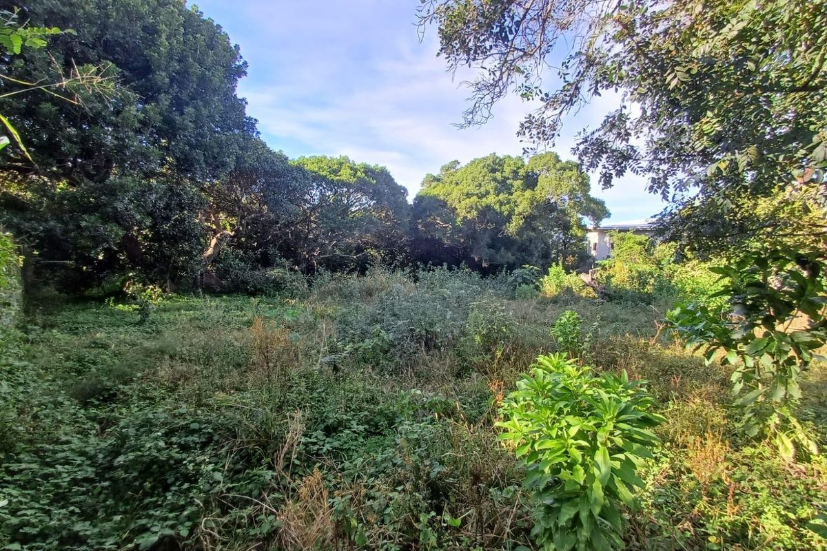 Prime Vacant Land for Sale in Cintsa East - Ready to Build! - Photo 3