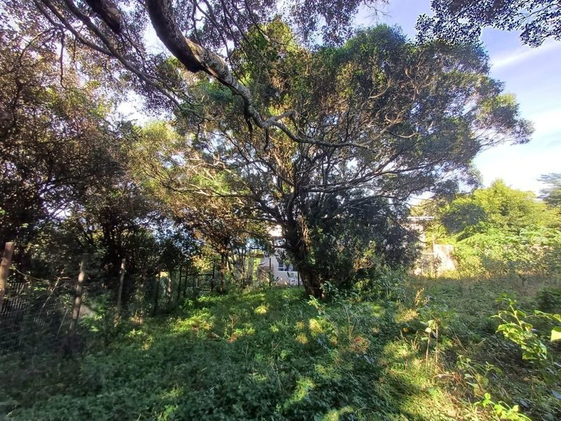 Prime Vacant Land for Sale in Cintsa East - Ready to Build! - Photo 4