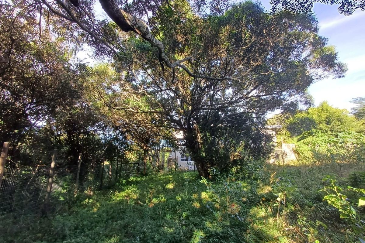 Prime Vacant Land for Sale in Cintsa East - Ready to Build! - Photo 4