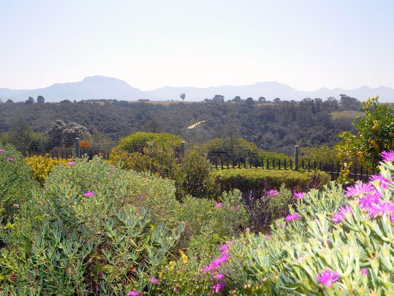 6 Bedroom House For Sale in Groot Brakrivier Central, Groot Brakrivier - Photo 10