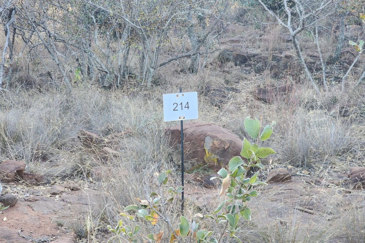 VERLOREN ESTATE - Vacant Land in Residential Cluster, Bela Bela - Photo 4