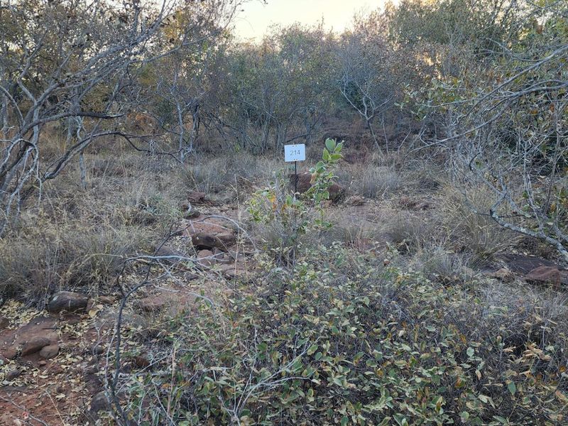 VERLOREN ESTATE - Vacant Land in Residential Cluster, Bela Bela - Photo 5