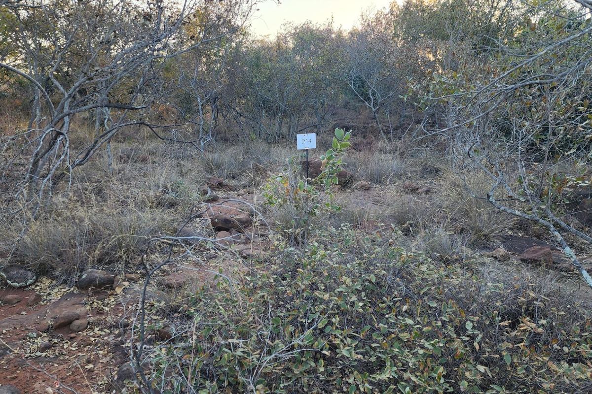 VERLOREN ESTATE - Vacant Land in Residential Cluster, Bela Bela - Photo 5