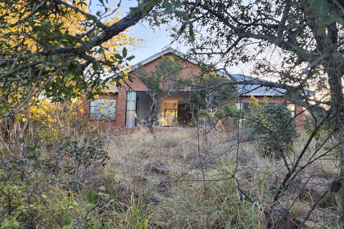 A view of a residential brick dwelling partially obscured by dense, overgrown vegetation and trees on the property.