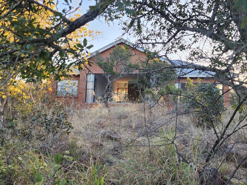 A view of a residential brick dwelling partially obscured by dense, overgrown vegetation and trees on the property.