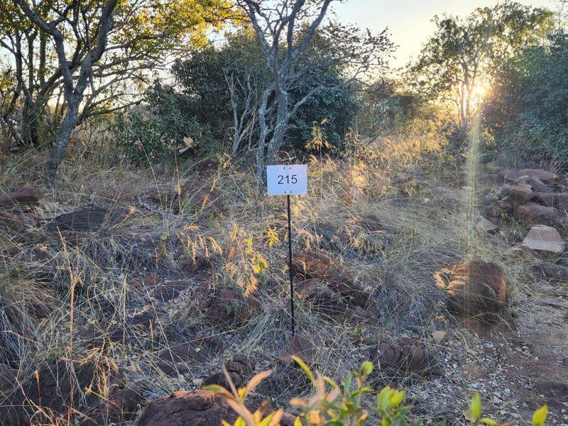 A view of the vacant residential land featuring natural rocky terrain, indigenous trees, and a plot marker sign.