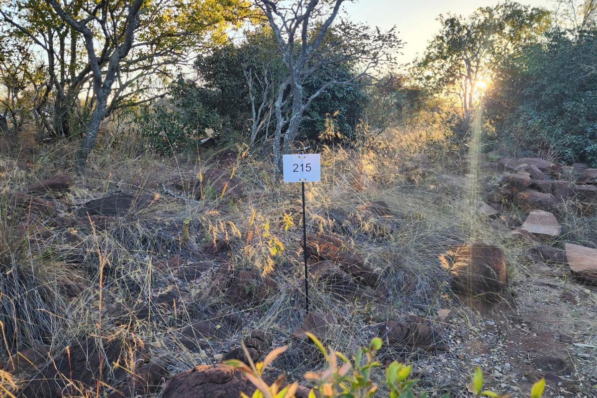 A view of the vacant residential land featuring natural rocky terrain, indigenous trees, and a plot marker sign.