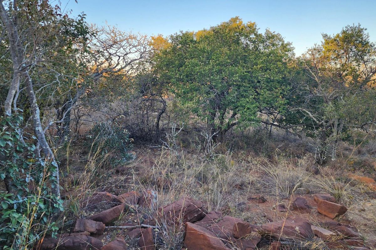A view of the natural, undeveloped residential land featuring indigenous trees, rocky terrain, and native vegetation.