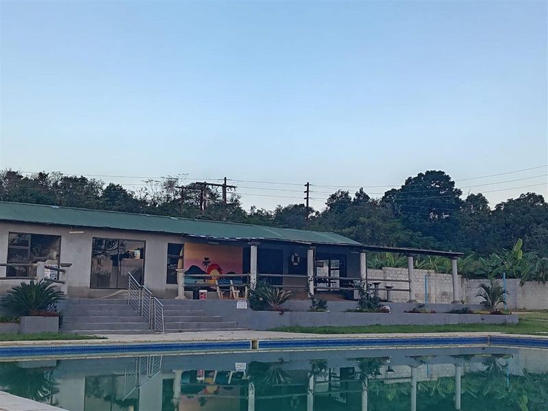 Small Holding with a difference | White River - Photo 2