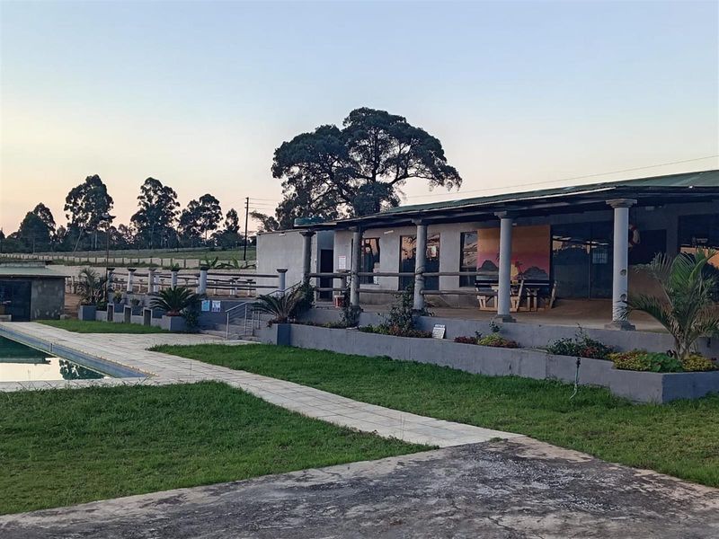 Small Holding with a difference | White River - Photo 4