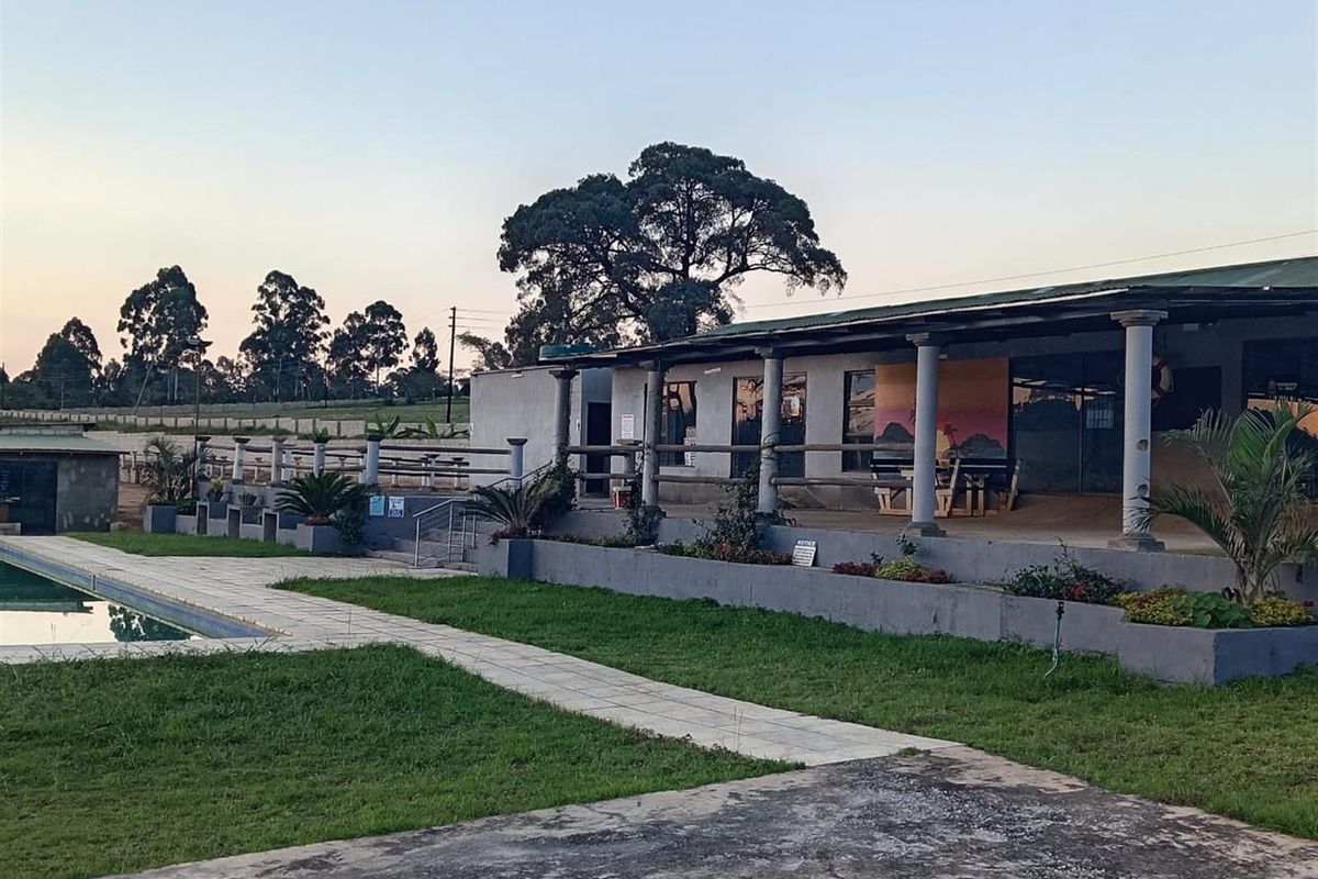 Small Holding with a difference | White River - Photo 4