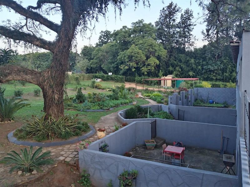 Small Holding with a difference | White River - Photo 9