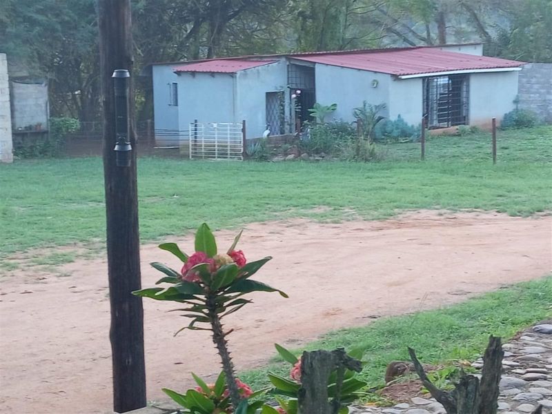 Small Holding with a difference | White River - Photo 7