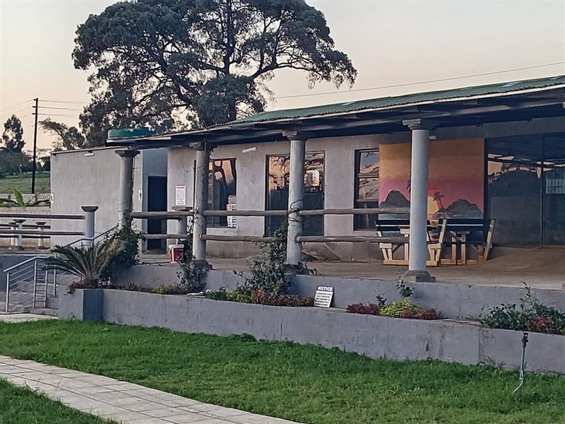 Small Holding with a difference | White River - Photo 3