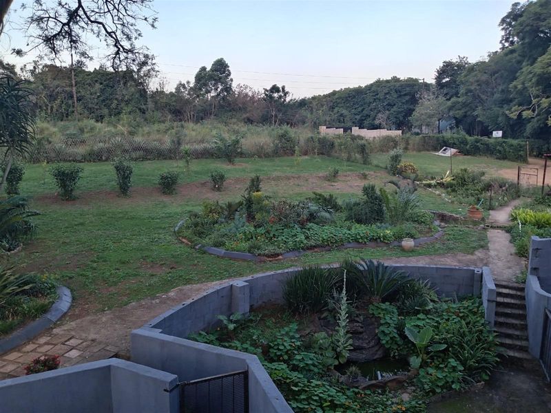 Small Holding with a difference | White River - Photo 10