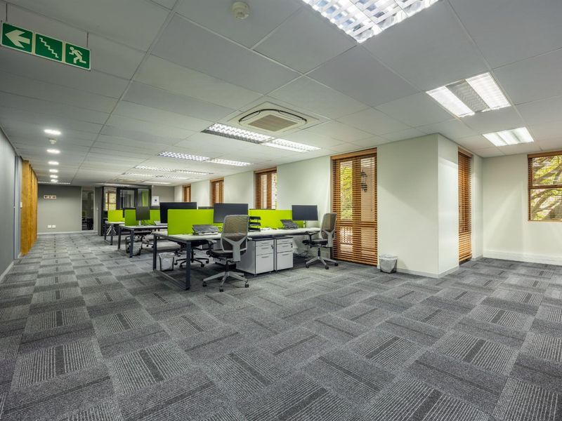 A modern, open-plan office space featuring suspended acoustic ceiling tiles, recessed fluorescent lighting, integrated air conditioning, and durable grey patterned carpeting.