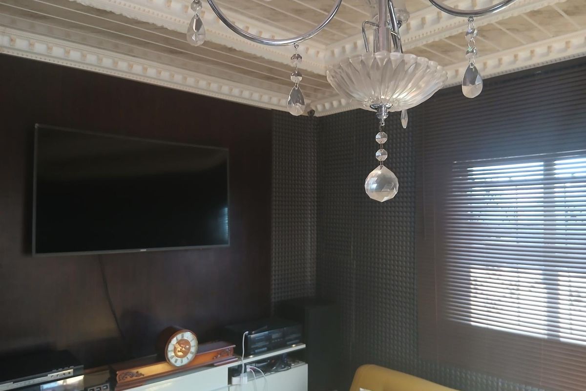 Living room featuring decorative ceiling molding, acoustic wall paneling, and venetian blinds, providing a functional space for entertainment.