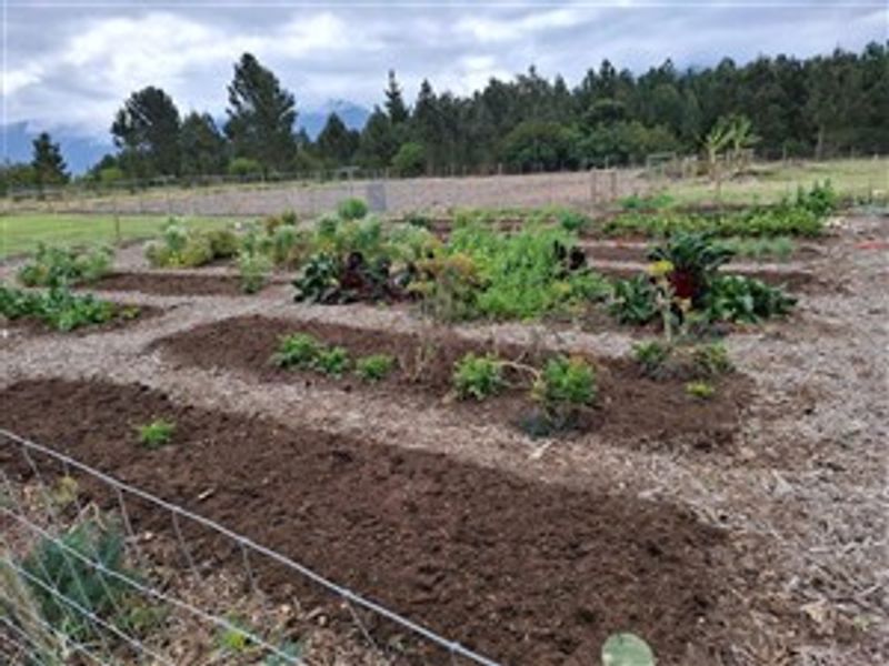 A well-maintained vegetable garden featuring raised soil beds and wire perimeter fencing, set against a backdrop of mature trees and open farmland.