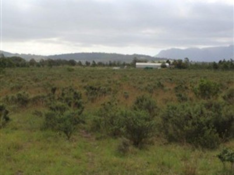 Expansive open farmland landscape featuring natural vegetation and distant mountain views, suitable for agricultural or development purposes.