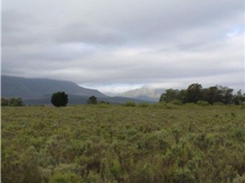 Expansive open farm land featuring natural vegetation and scenic mountain views under a cloudy sky.