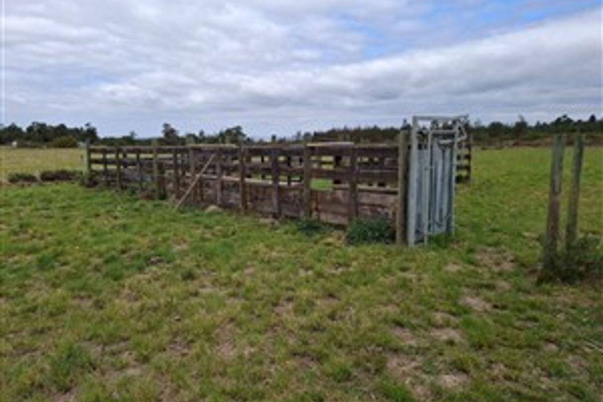 Farm For Sale in Riversdale Rural, Riversdale - Photo 4