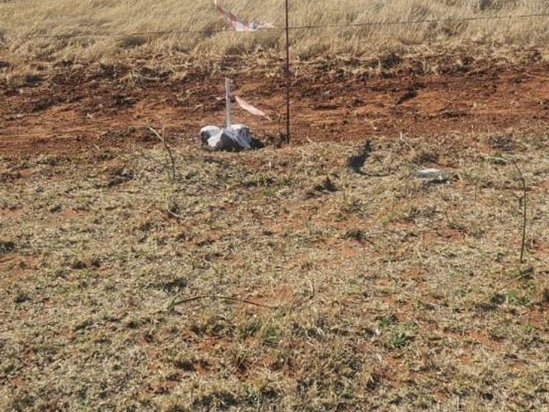 Vacant Land For Sale in Ritchie - Photo 3