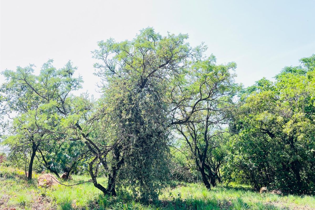 Vacant Land available in Kosmos Ridge, Hartbeespoort, North West - Photo 2