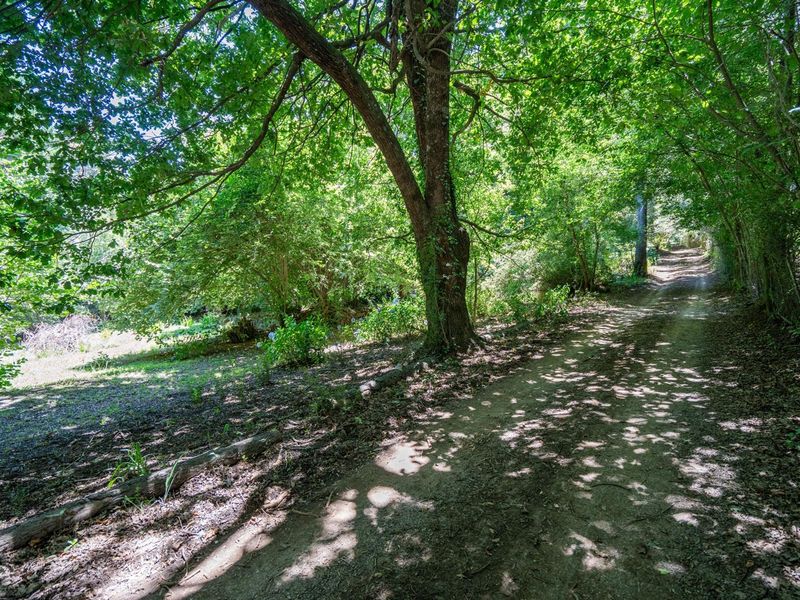 Charming Forest Retreat with Historic Soul - Photo 3