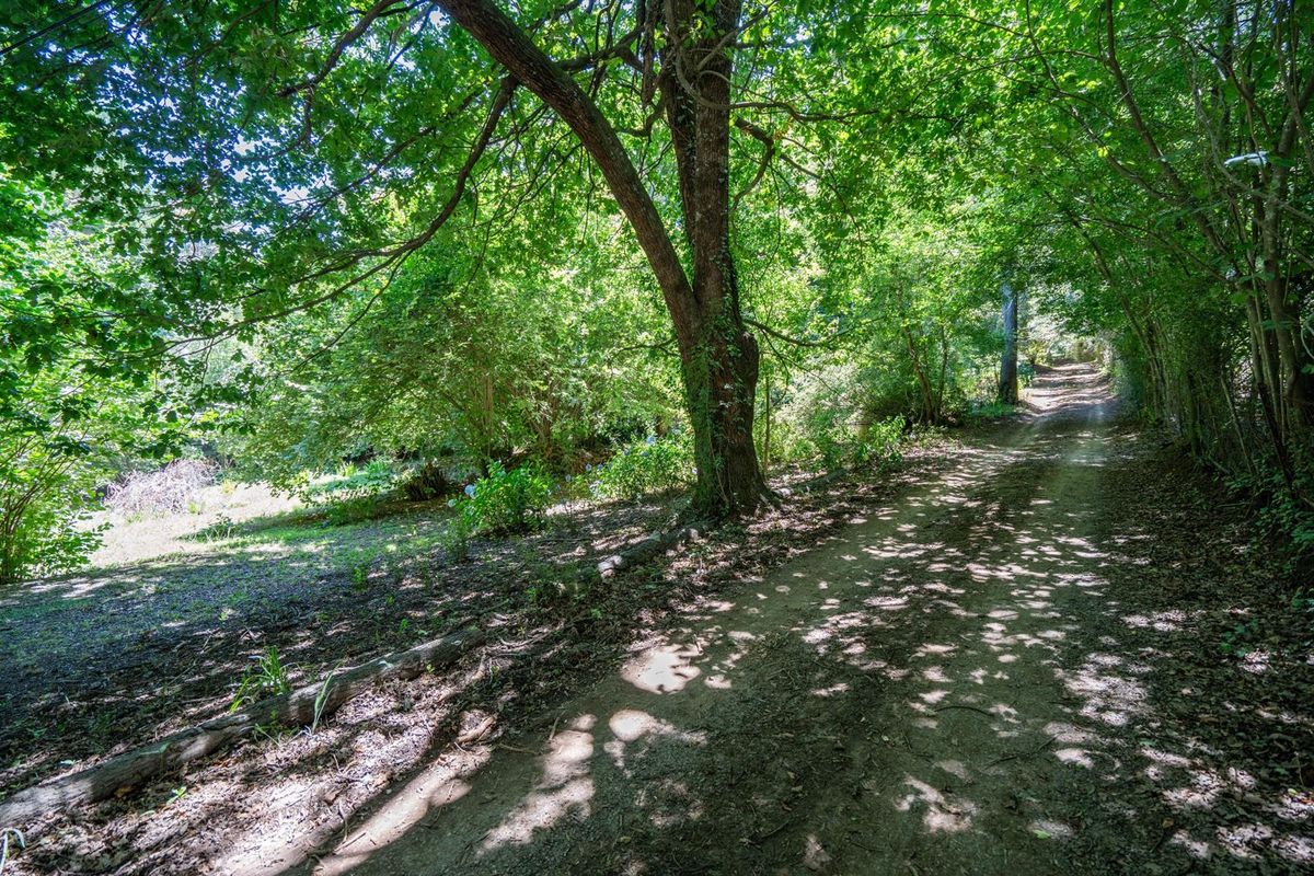 Charming Forest Retreat with Historic Soul - Photo 3