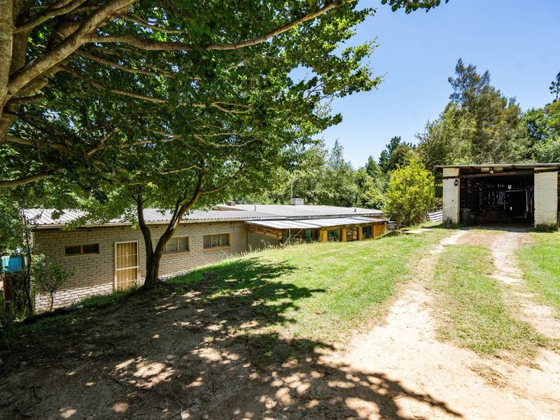 Charming Forest Retreat with Historic Soul - Photo 5