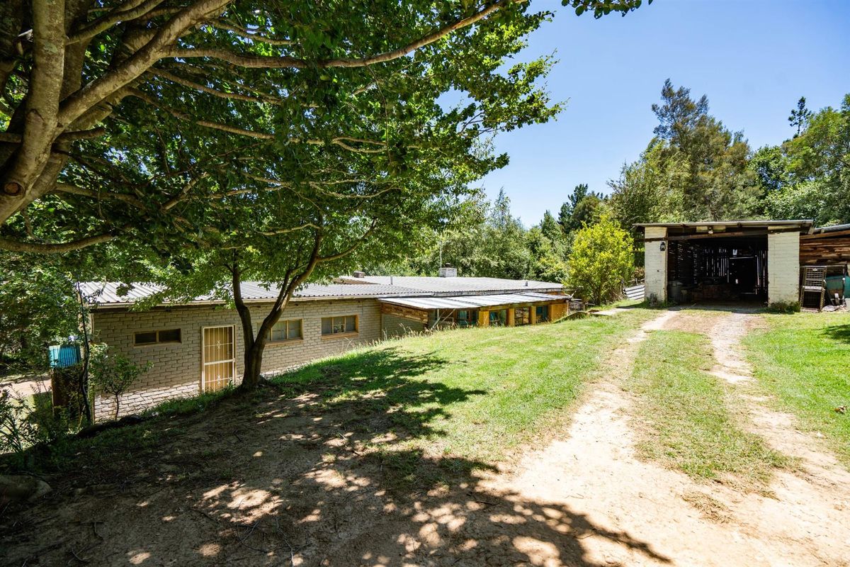 Charming Forest Retreat with Historic Soul - Photo 5