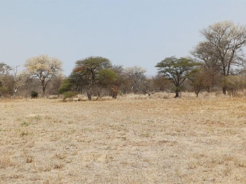 Turnkey Agricultural Operation with Solar, Pivot, Machinery and Charming Homestead - Photo 10