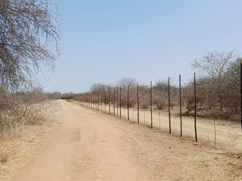 Turnkey Agricultural Operation with Solar, Pivot, Machinery and Charming Homestead - Photo 9