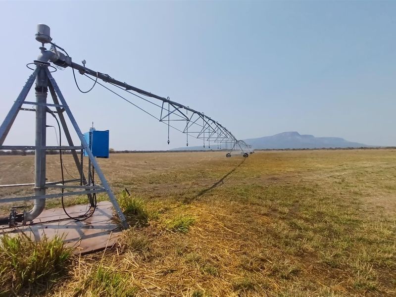 Turnkey Agricultural Operation with Solar, Pivot, Machinery and Charming Homestead - Photo 5