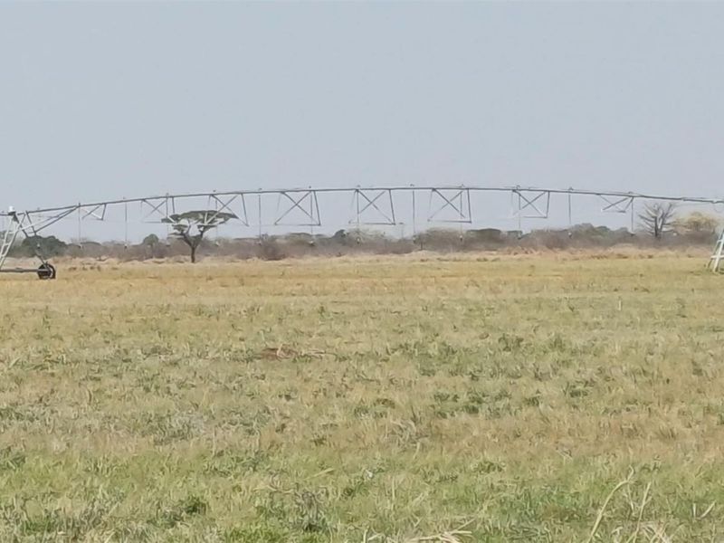 Turnkey Agricultural Operation with Solar, Pivot, Machinery and Charming Homestead - Photo 6