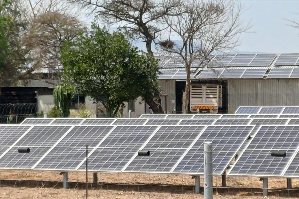 Turnkey Agricultural Operation with Solar, Pivot, Machinery and Charming Homestead - Photo 3