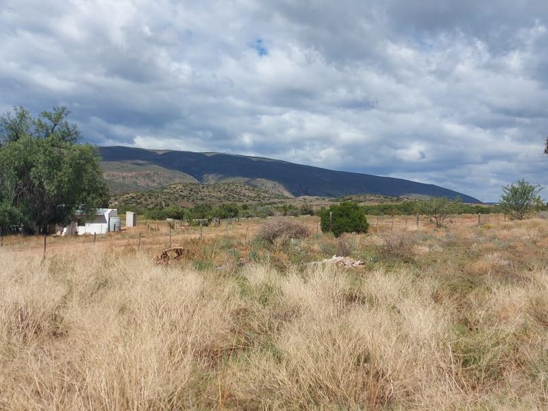 Farm SOLD in Calitzdorp Rural, Calitzdorp - Photo 4