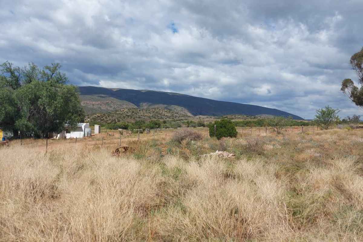 Farm SOLD in Calitzdorp Rural, Calitzdorp - Photo 4