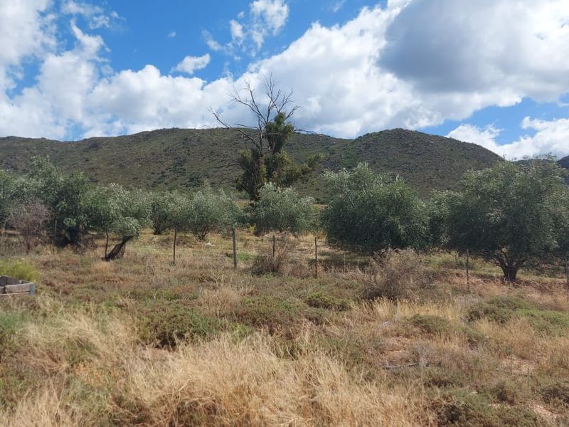 Farm SOLD in Calitzdorp Rural, Calitzdorp - Photo 2