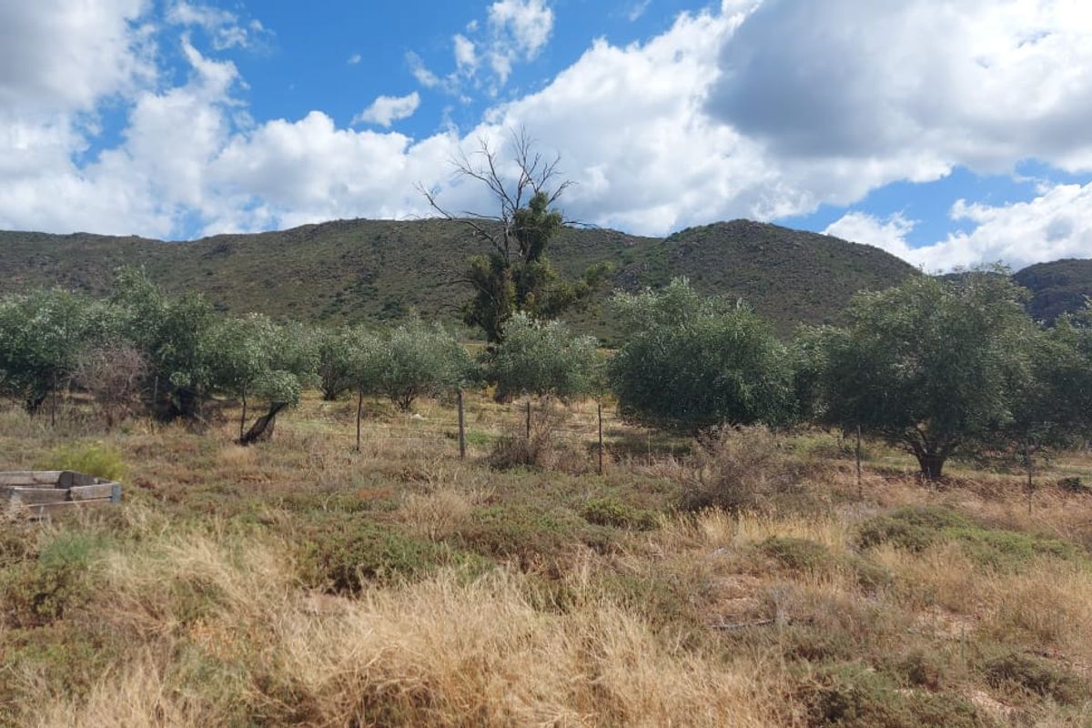 Farm SOLD in Calitzdorp Rural, Calitzdorp - Photo 2