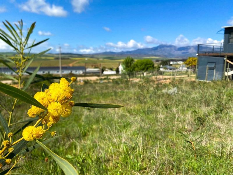 Vacant Stand for Sale in Botrivier - Stunning Views and Ready to Build! - Photo 7