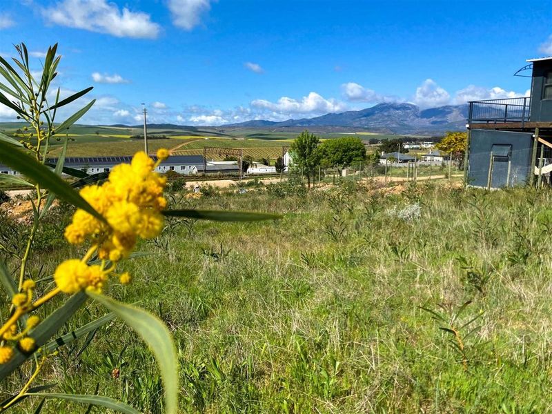 Vacant Stand for Sale in Botrivier - Stunning Views and Ready to Build! - Photo 6