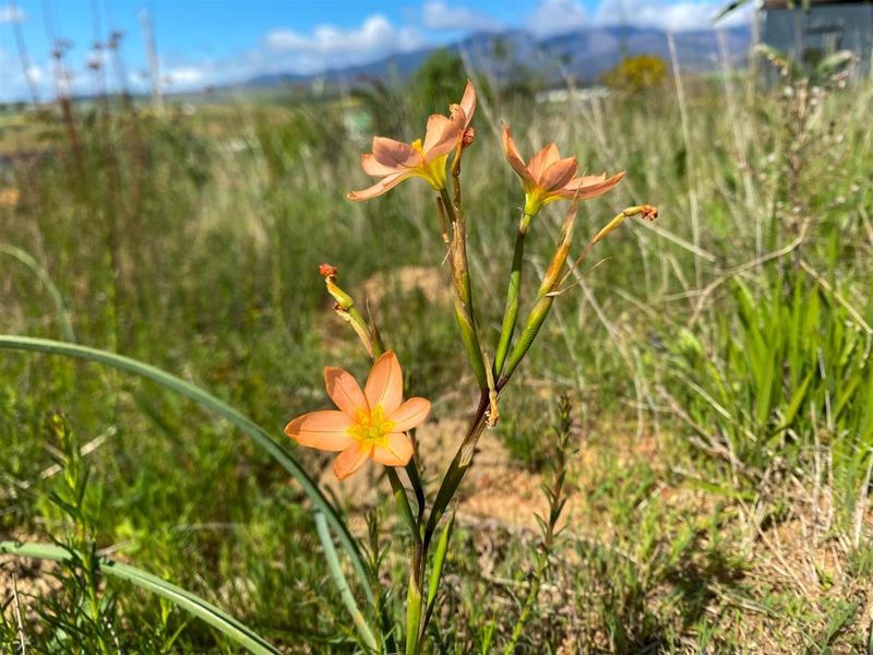 Vacant Stand for Sale in Botrivier - Stunning Views and Ready to Build! - Photo 2