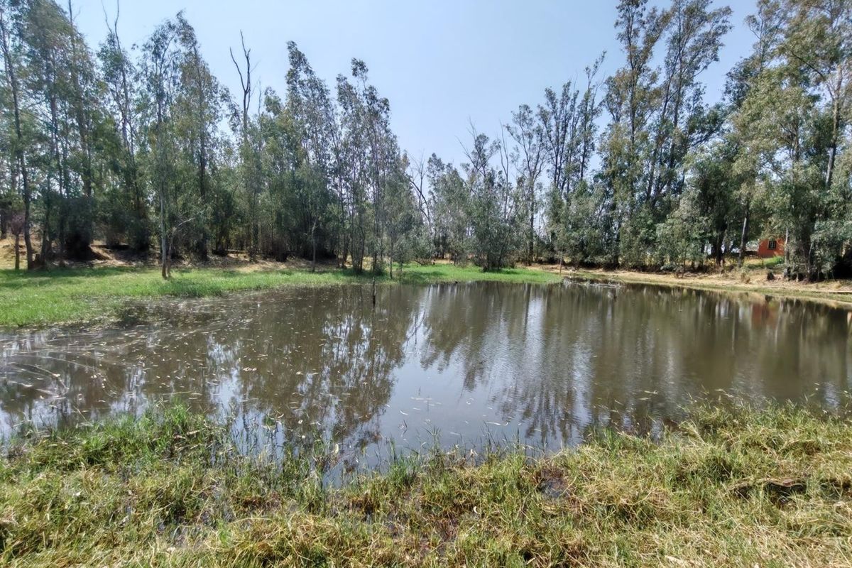 Smallholding for Sale - Spacious house on 5.7 ha with River Views near Bela Bela - Photo 3