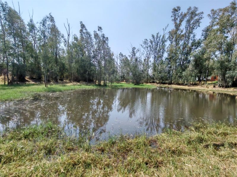 Smallholding for Sale - Spacious house on 5.7 ha with River Views near Bela Bela - Photo 3