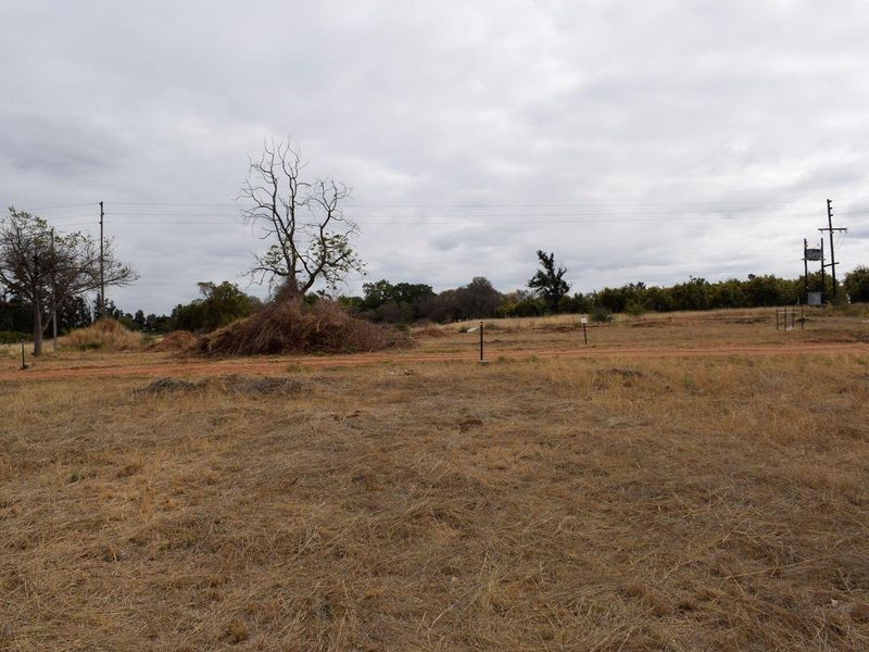 House For Sale in Hoedspruit - Photo 10