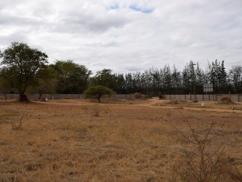 House For Sale in Hoedspruit - Photo 9