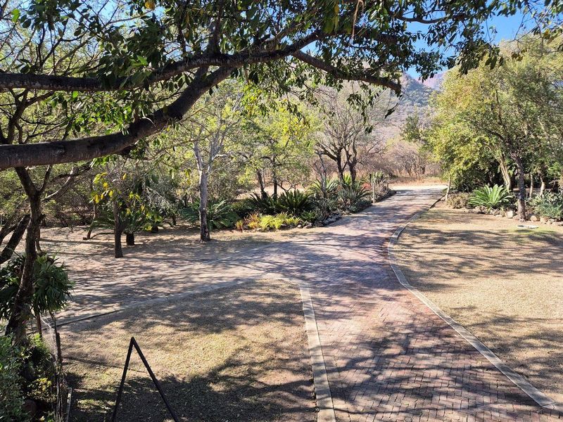House For Sale in Blyde River Botanical Reserve, Hoedspruit - Photo 4